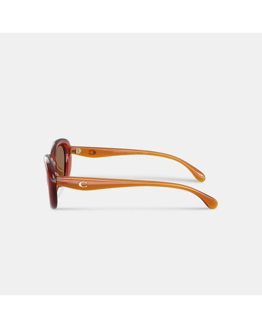 COACH Brown C Hardware Round Sunglasses