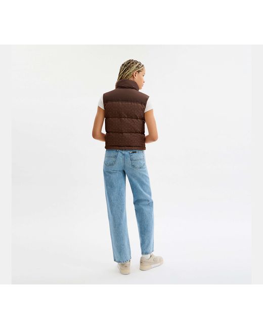 COACH Brown Signature Down Vest