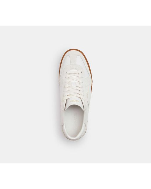 COACH Black Ellis Sneaker