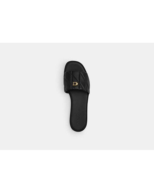 COACH Black Holly Sandal With Quilting