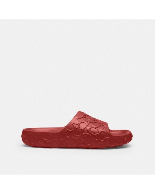 COACH Red Bay Slide for men