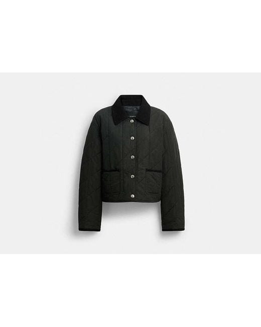 Giacca Trapuntata Con Colletto di COACH in Black
