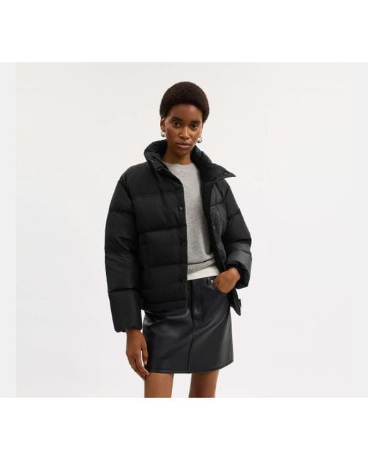 Chaqueta De Plumón De Firma COACH de color Black