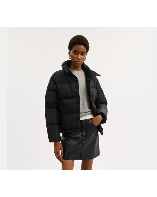 COACH Black Signature Down Jacket