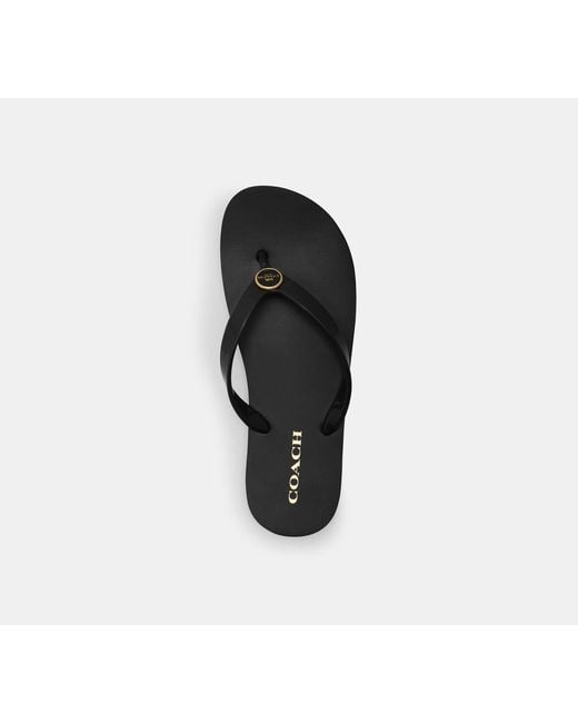 COACH Black Zayn Flip Flop
