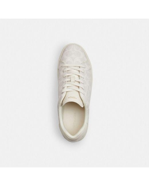 COACH White Sneakers