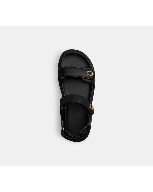 COACH Black Brynn Sandal