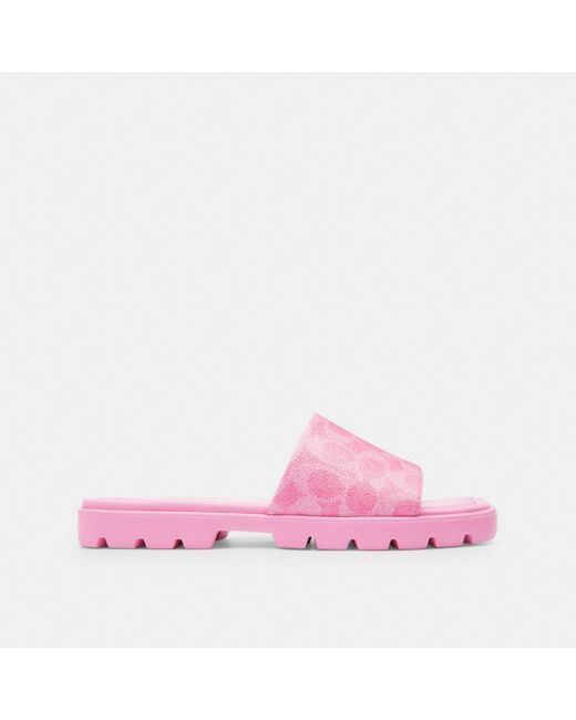 COACH Pink Florence Sandal In Signature Canvas