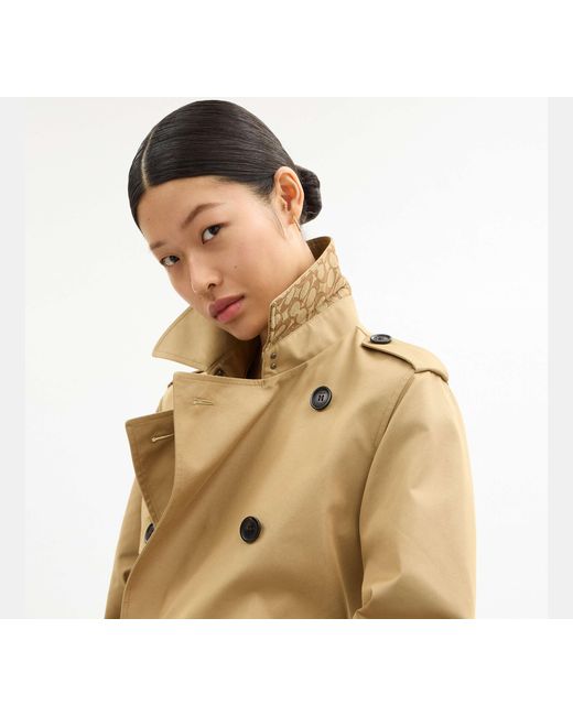COACH Natural Mid Trench Coat