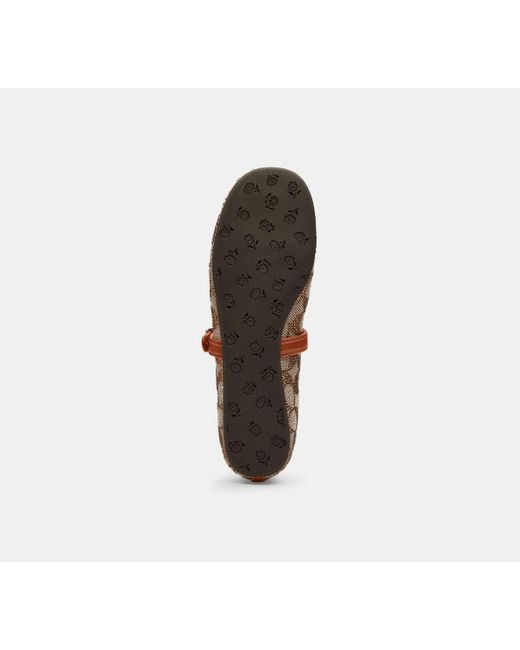 COACH Brown Mary Jane In Crystal Signature Jacquard