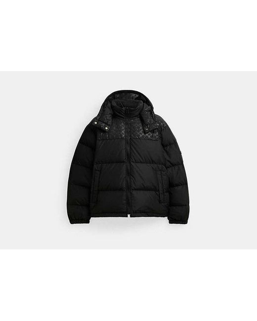 COACH Down Puffer Jacket In Recycled Polyester in Black for