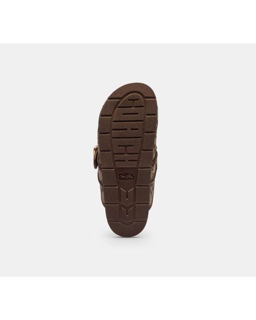 COACH Black Archival Buckle Clog