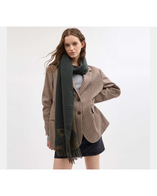 Sciarpone Oversize Double Face di COACH in Green
