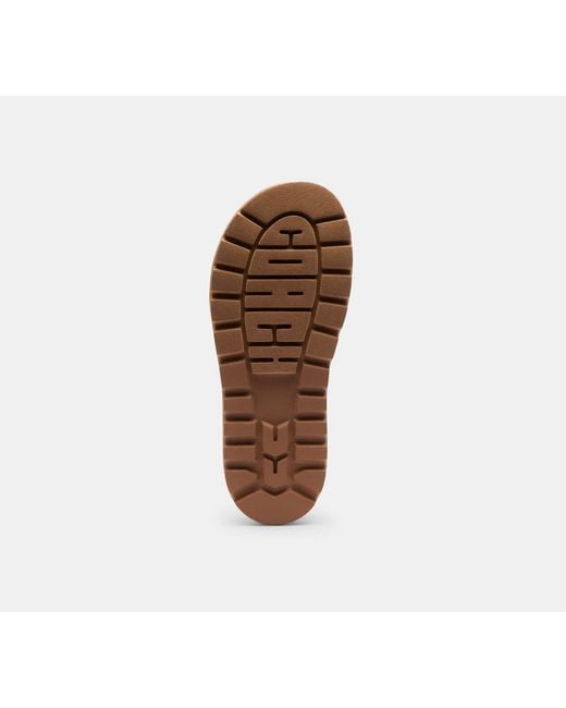 COACH Black Brynn Sandal