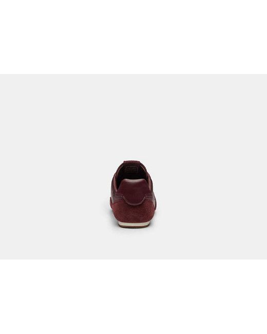 COACH Red Flache Sneaker Für Frauen
