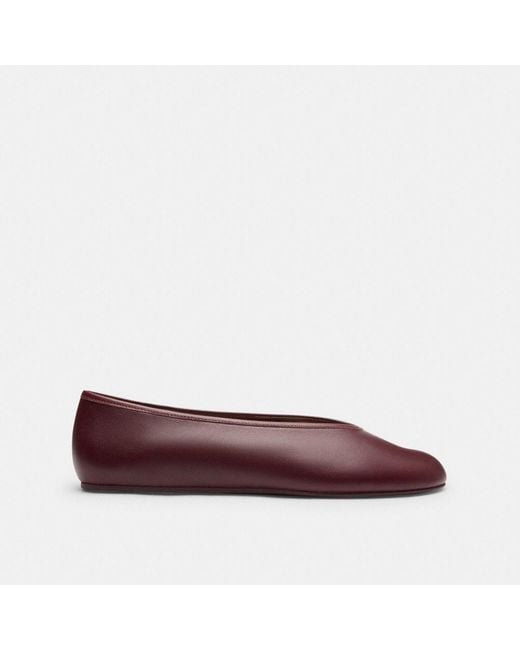 COACH Multicolor Houston Ballet Flat