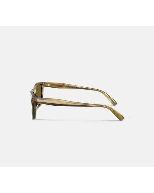 COACH Black Square Sunglasses for men