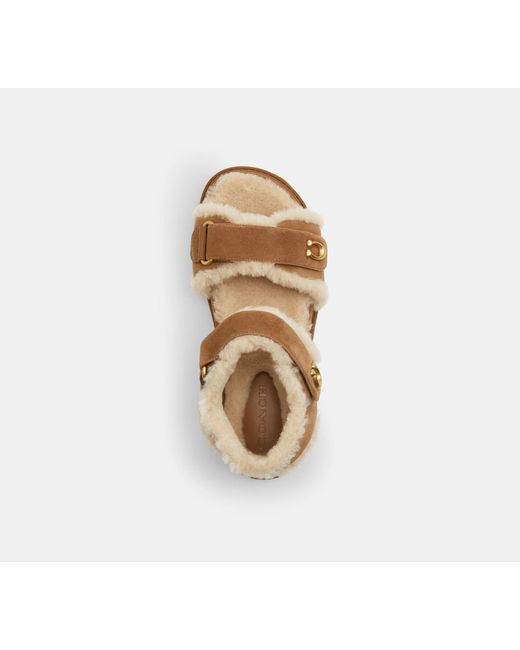 COACH Black Brynn Sandal