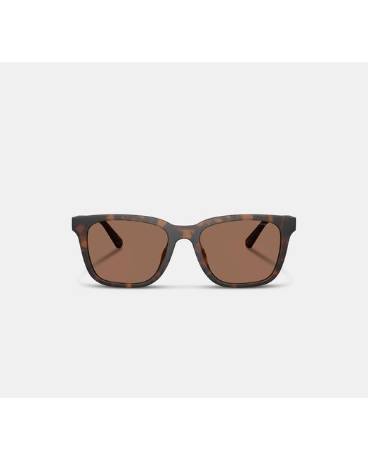 COACH Black C Hardware Textured Temple Sunglasses for men