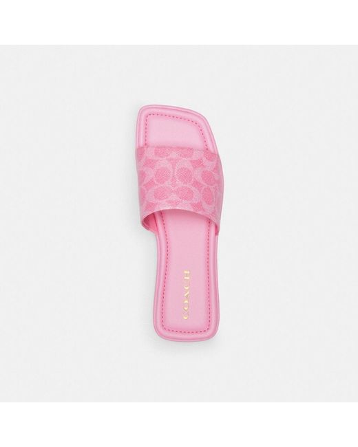 COACH Pink Florence Sandal In Signature Canvas