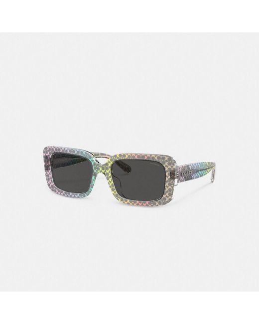 COACH Multicolor Signature Oversized Rectangle Sunglasses