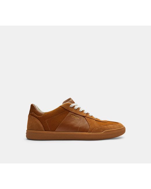 COACH Brown Ellis Sneaker for men