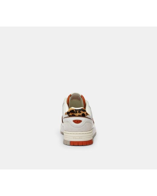 COACH Black Soho Sneaker