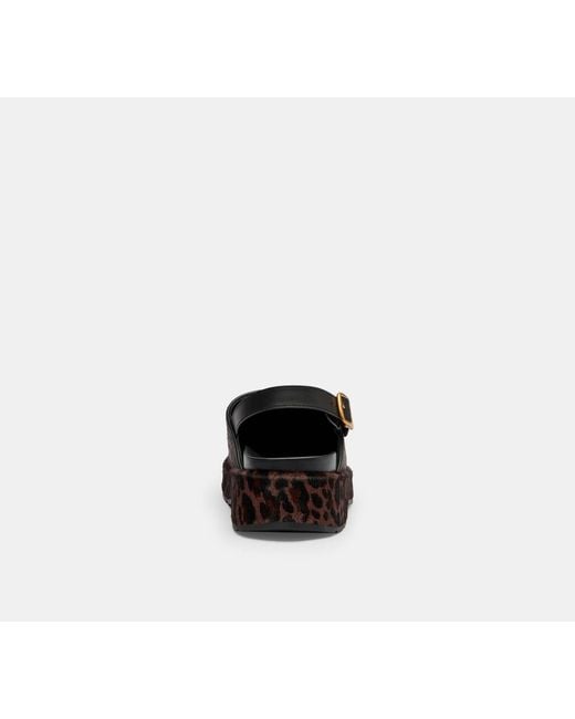 COACH Black C Platform Clog With Leopard Print