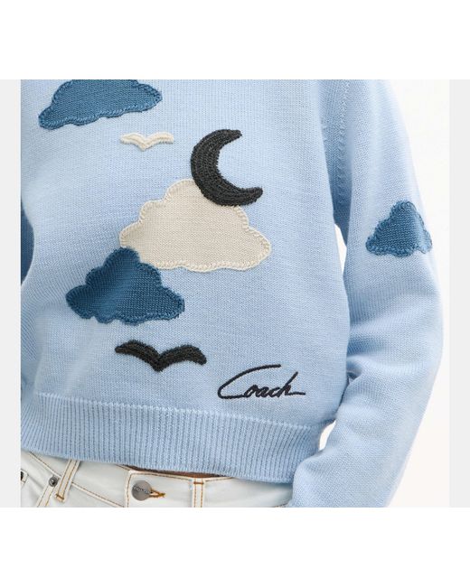 COACH Blue Applique Sweater