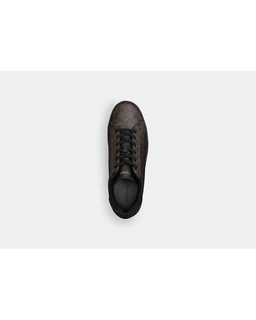 COACH Black High Line Sneaker for men