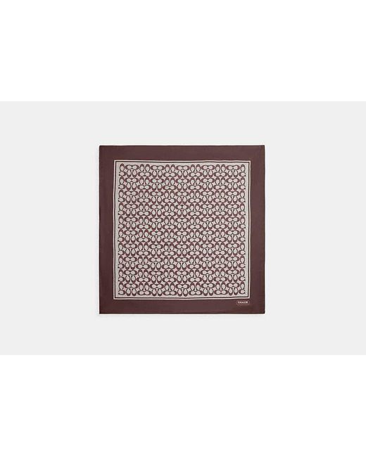 COACH Black Textured Signature Print Silk Square Scarf