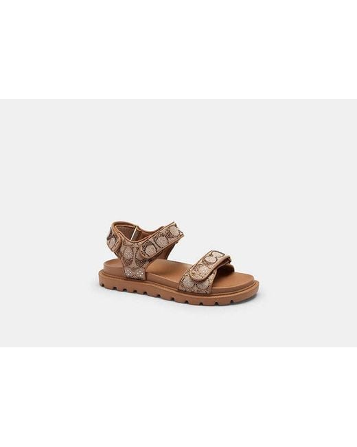 COACH Black Brynn Sandal