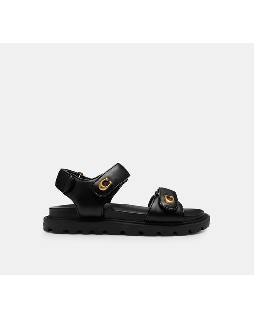 COACH Black Brynn Sandal