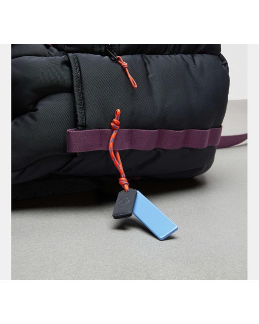 COACH Black Topia Loop Rucksack
