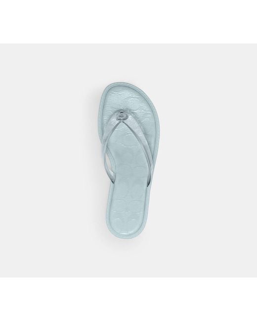 COACH Black Jelly Thong Sandal