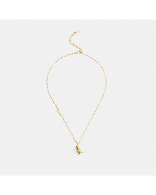 COACH Metallic Brushed Rexy Pendant Necklace