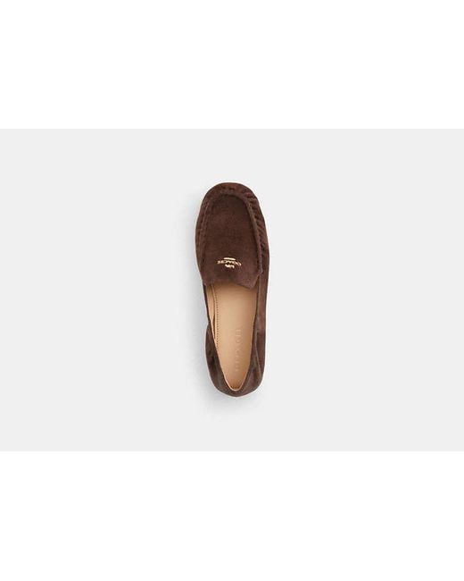 COACH Brown Phoebe Soft Loafer