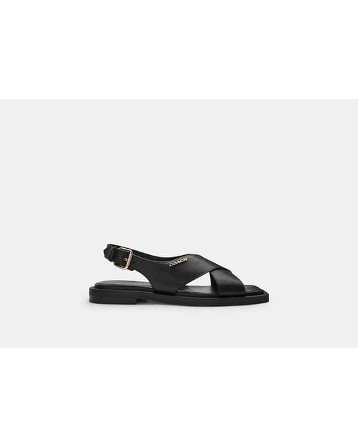 COACH Black Link Criss Cross Sandal