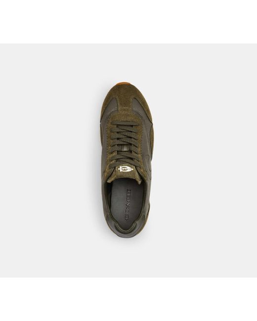 COACH Black Flat Sneaker