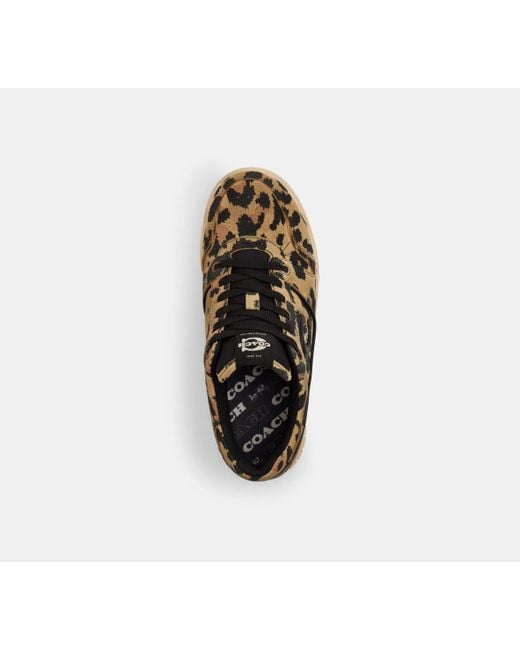 Scarpa Da Ginnastica Soho Con Stampa Leopardata di COACH in Black