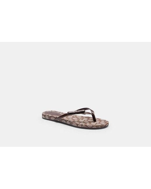 COACH Black Bow Flip Flop
