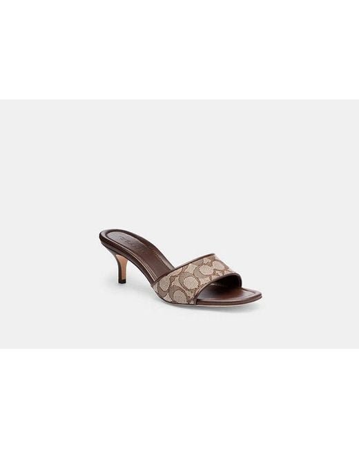 COACH Brown Mule Kitten Heel