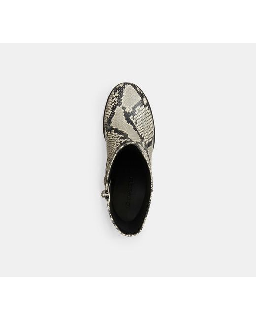 COACH Black Block Heel Boot With Snake Print