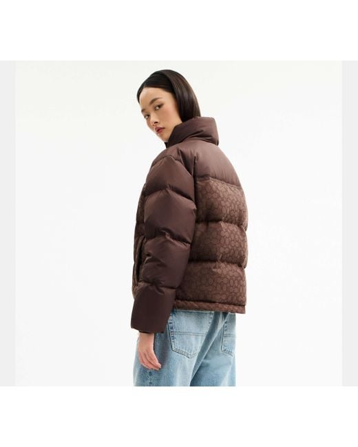 COACH Brown Signature Down Jacket