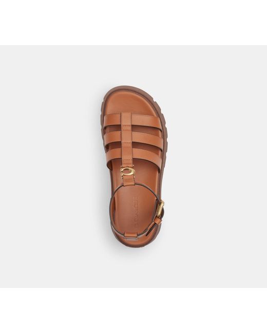 COACH Black C Platform Fisherman Sandal