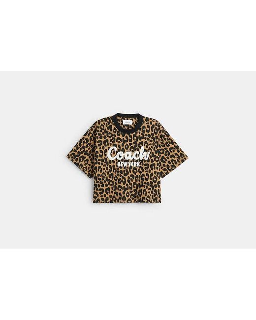 Camiseta corta de leopardo de firma en cursiva COACH de color Multicolor