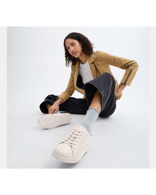 COACH Black High Line Sneaker