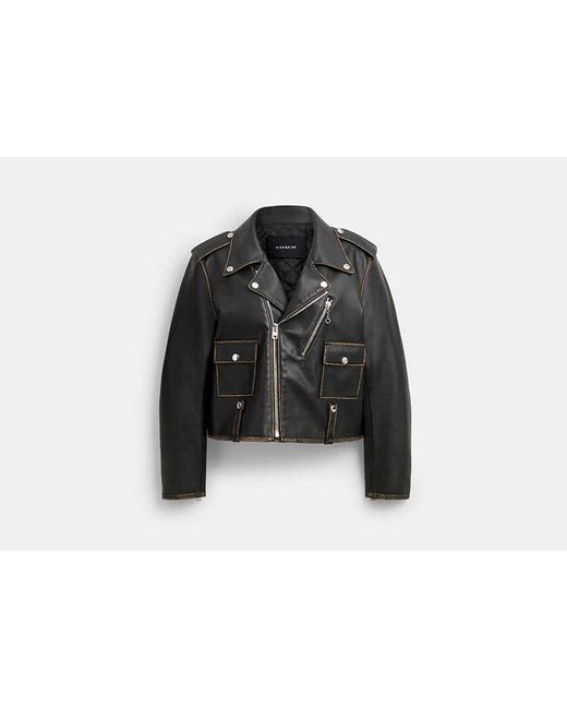 COACH Black Moto Jacket
