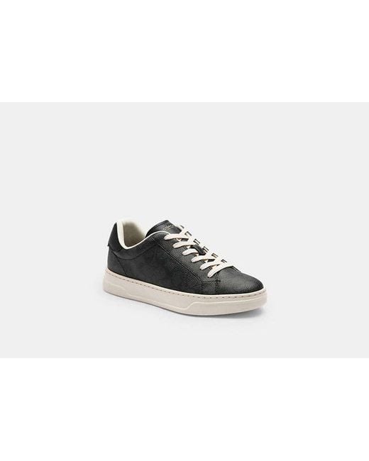 COACH Black High Line Sneakers