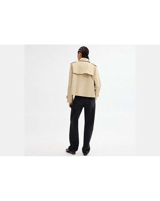 COACH Black Short Trench Coat